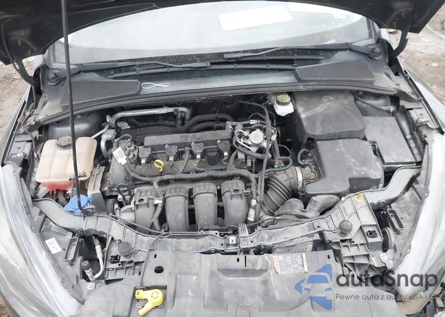 1FADP3M25JL310659: 44007106