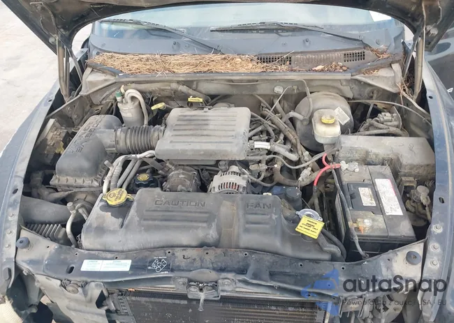 1B7GL2AN51S141809: 44006448