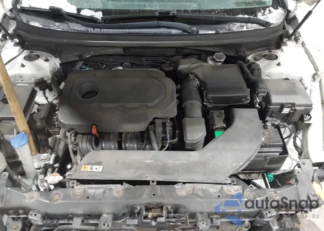 5NPE34AF4HH446416: 44006539