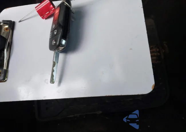 3FA6P0HD1ER204218: 44007701