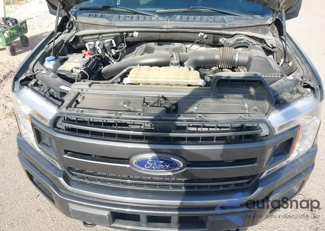 1FTEW1E40LKF18141: 44007850