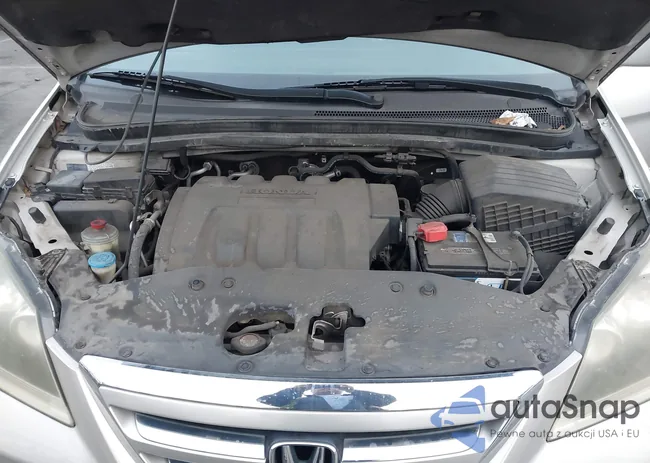 5FNRL38846B045009: 44008046