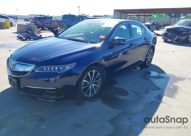 19UUB2F37FA006701: 44008205