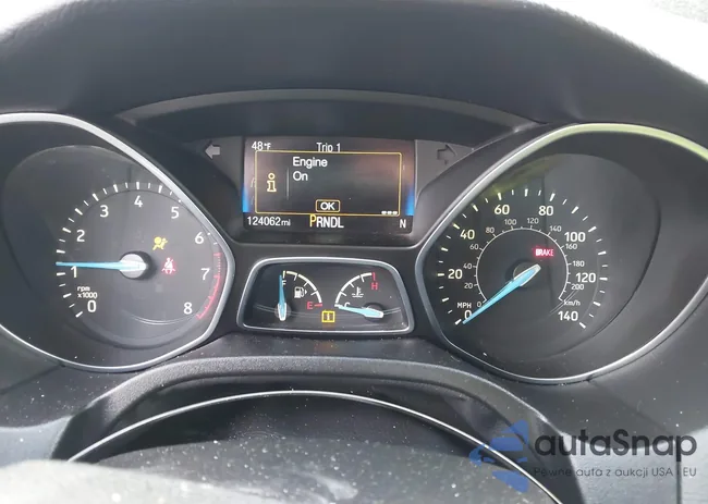 1FADP3F25JL315891: 44008851