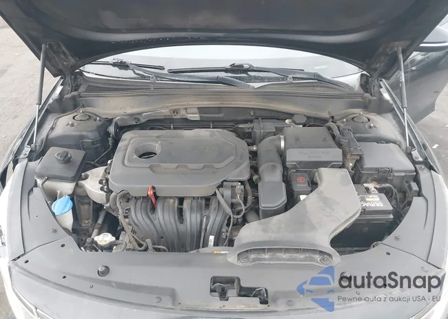 5XXGT4L38HG135594: 44009953