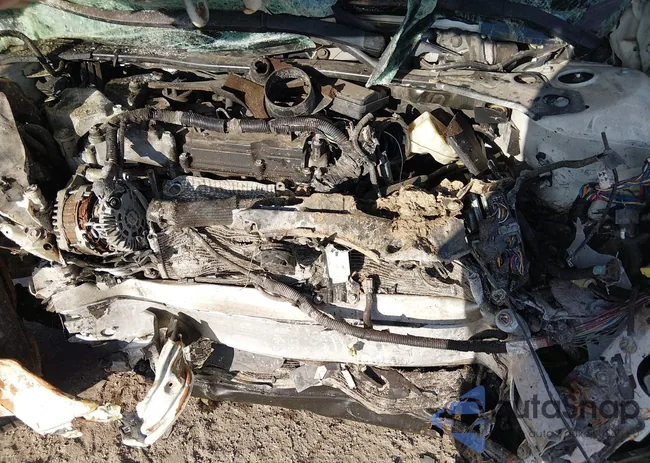 1N4AL3AP4FN386884: 44009298