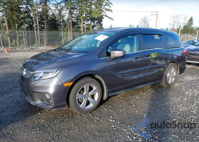 5FNRL6H71KB117092: 44010667