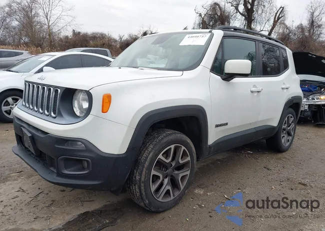 ZACCJBBTXFPB31713: 44010737