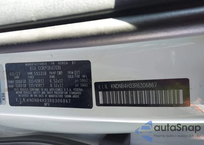 KNDNB4H33R6306867: 44010921