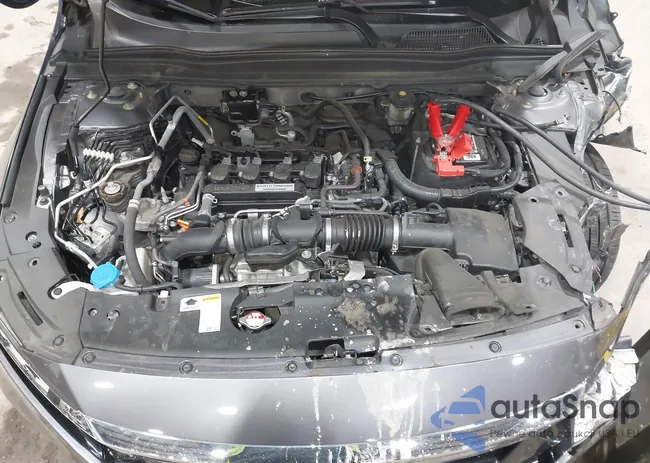 1HGCV1F59LA126980: 44010341