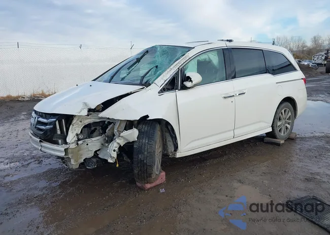 5FNRL5H96FB001601: 44010506