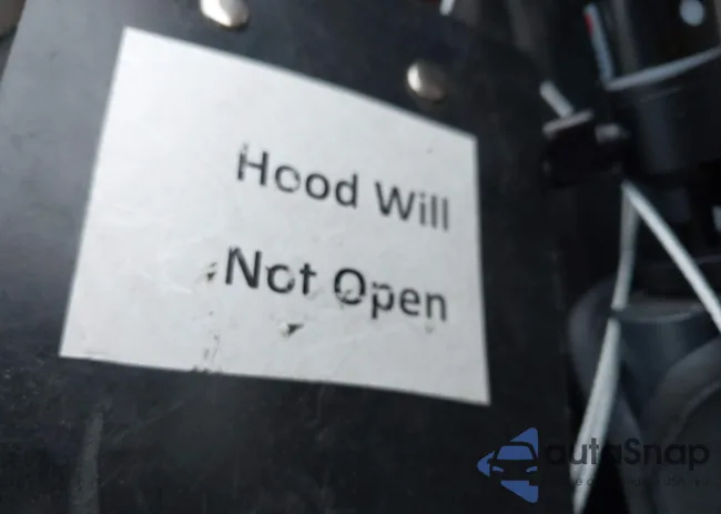 2C3CCABG4MH529428: 44011379