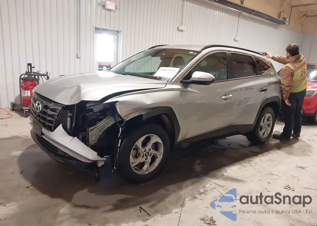 5NMJBCAE7PH198919: 44013199