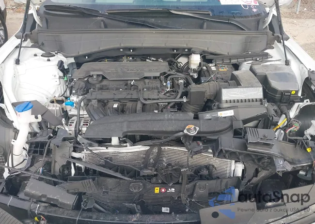 KM8HB3AB2SU339820: 44013940