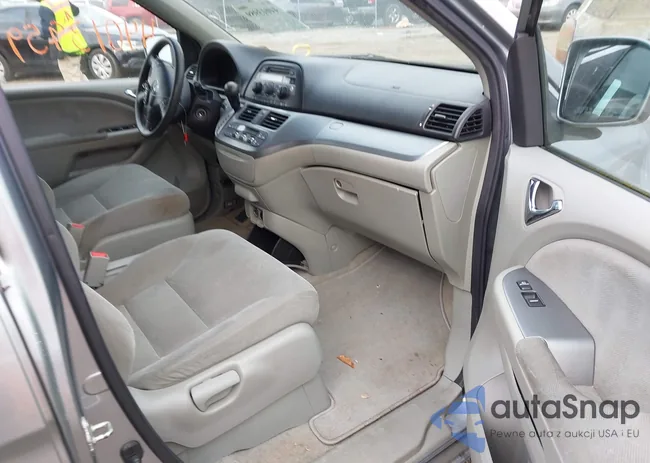 5FNRL38488B054313: 44013959