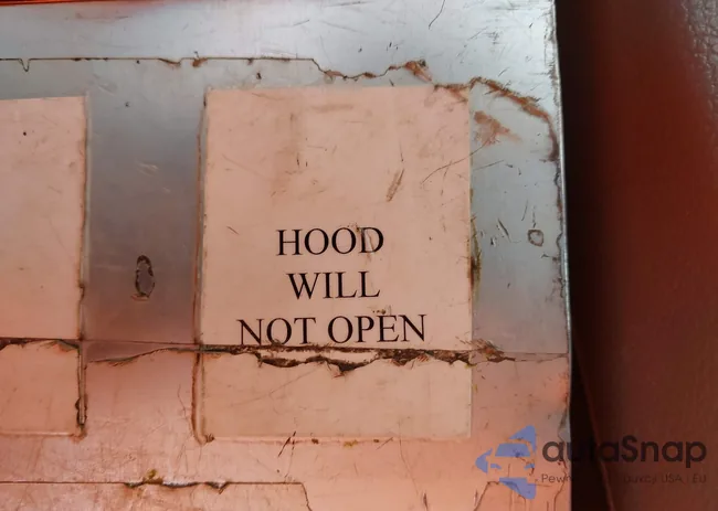 5FNRL6H71KB015906: 44013381