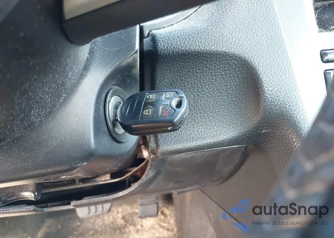 1ZVBP8AM7D5252113: 44013630