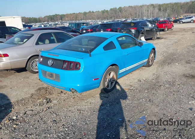 1ZVBP8AM7D5252113: 44013630