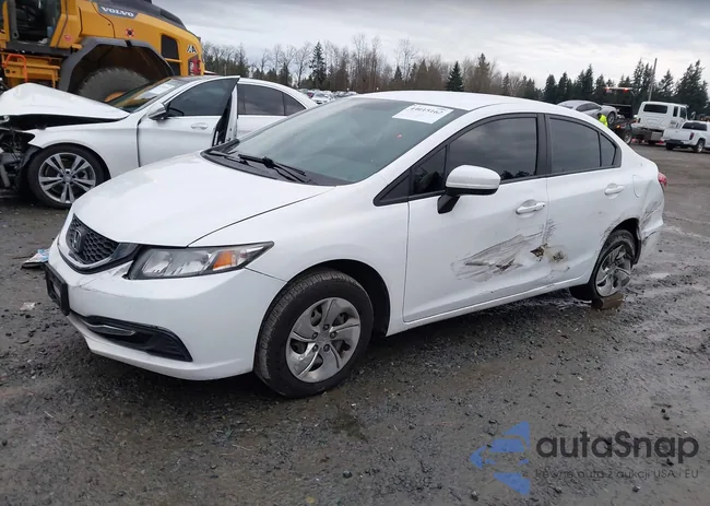 19XFB2F50EE011937: 44015162