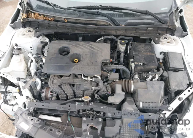 1N4BL4BV1LN317198: 44015331