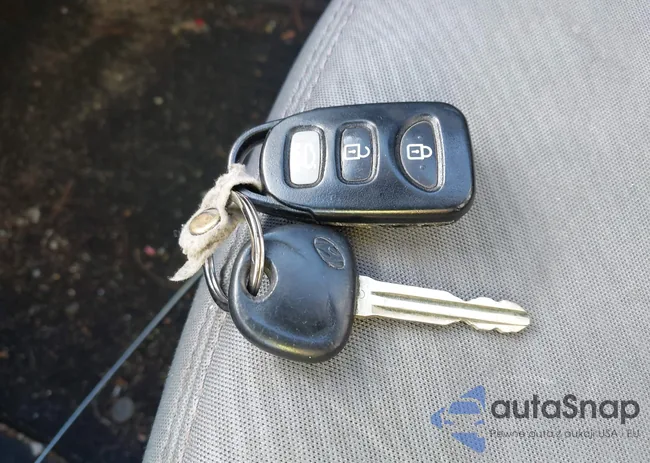 5NPDH4AE0DH287487: 44015344