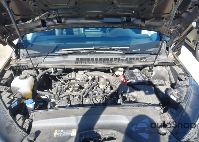 2FMPK4G99PBA01432: 44016736