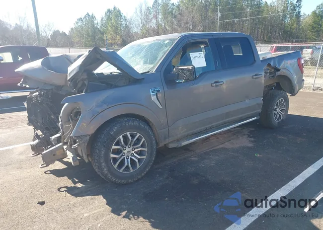 1FTFW1E54MFC98428: 44016824