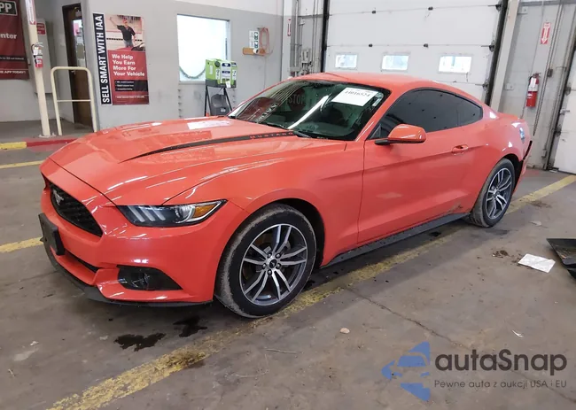 1FA6P8TH6G5269290: 44016524