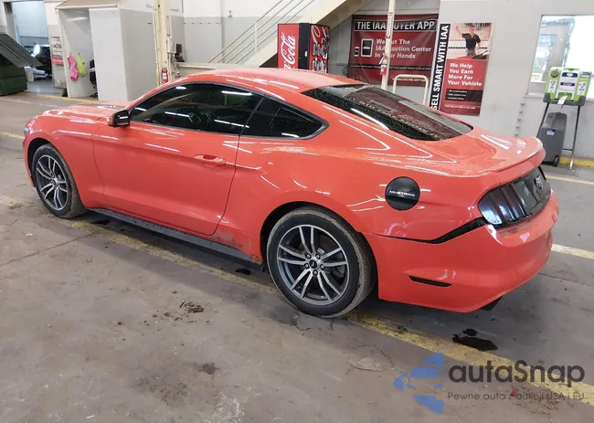 1FA6P8TH6G5269290: 44016524