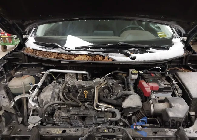 5N1AT3AB4MC806405: 44017853