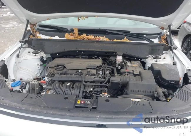 KM8HC3AB4RU053362: 44017973