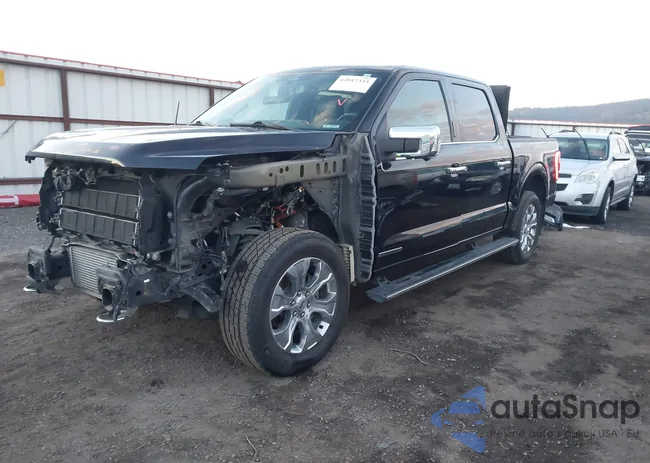 1FTFW1ED3MFB79664: 44017333