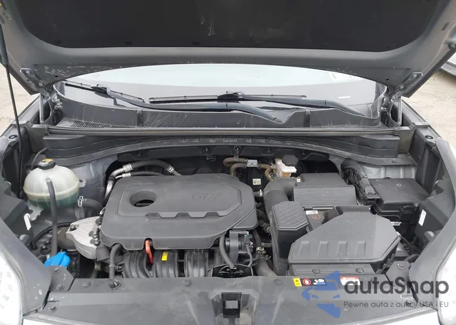 KNDPMCAC4L7830165: 44017554