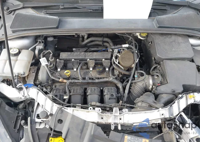 1FADP3K29GL255936: 44018664