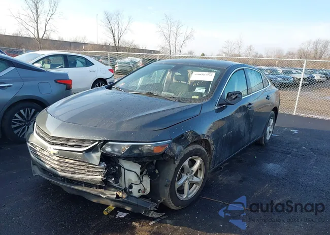 1G1ZB5ST4HF159868: 44018754