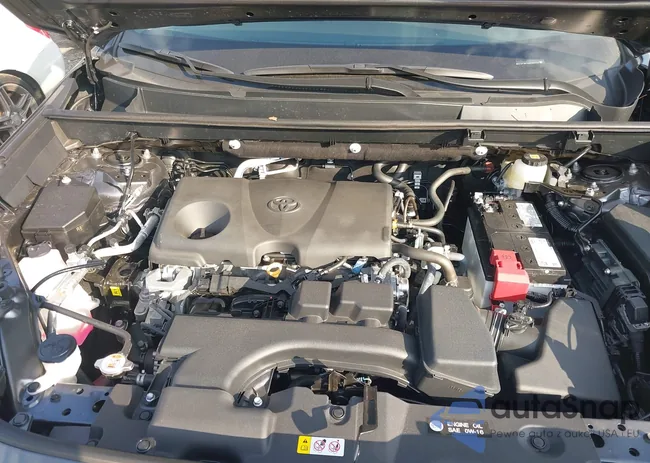 2T3P1RFV9SC562224: 44018858