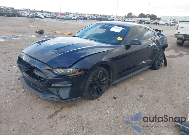 1FA6P8TH7M5141961: 44018887