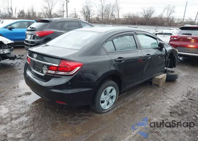 19XFB2F53EE000401: 44019071