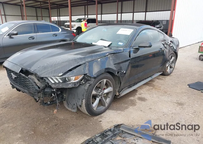 1FA6P8AM5G5283746: 44018259