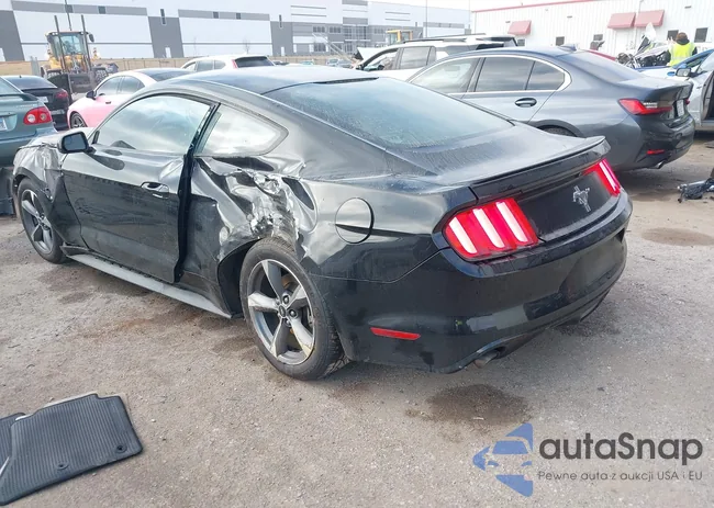 1FA6P8AM5G5283746: 44018259