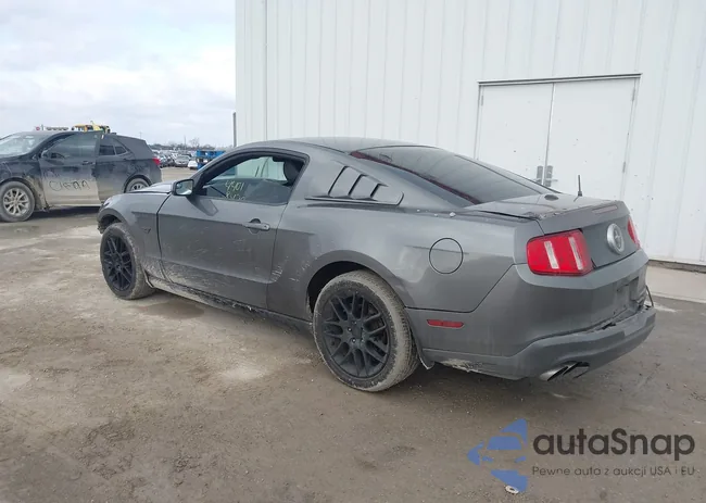 1ZVBP8AM7C5280492: 44018470