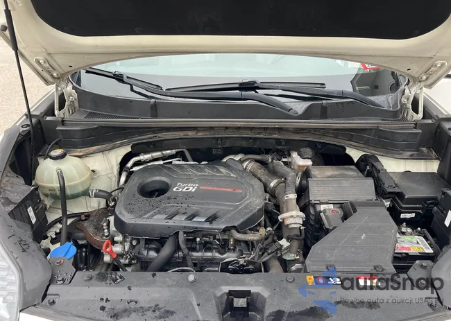 KNDPRCA60L7661452: 44018517