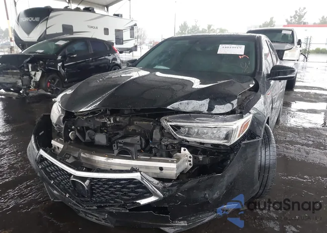 19UUB1F38KA010051: 44019919