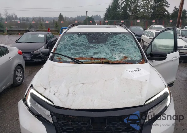 5FNYF8H98MB037341: 44019951