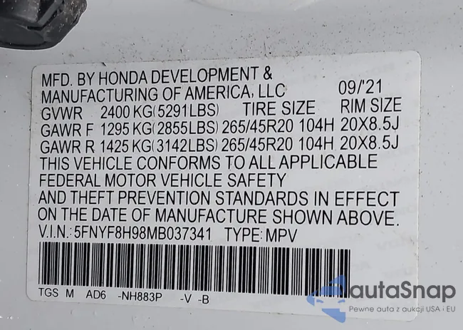 5FNYF8H98MB037341: 44019951