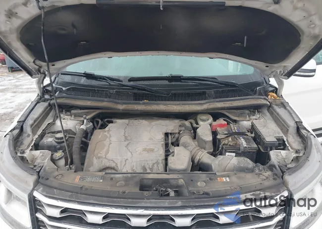 1FM5K8F89GGC49163: 44019375