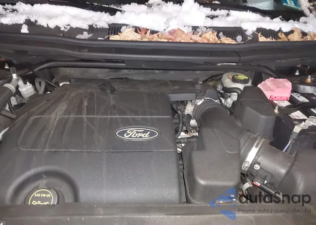 1FM5K8D81EGA83981: 44020749