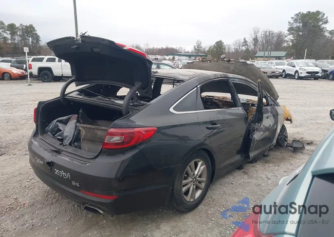 5NPE24AF8HH586455: 44020771