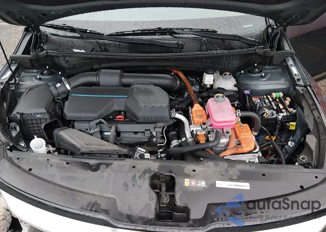 KNDPXCDG0R7122252: 44020836