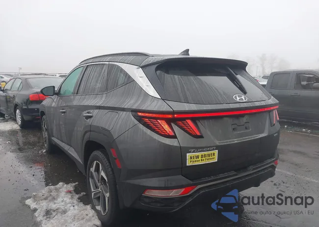 5NMJFCAE8PH252149: 44020873